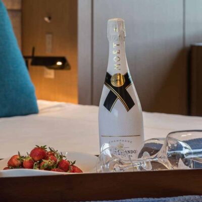 bandeja botella cava fresas detalle bienvenida